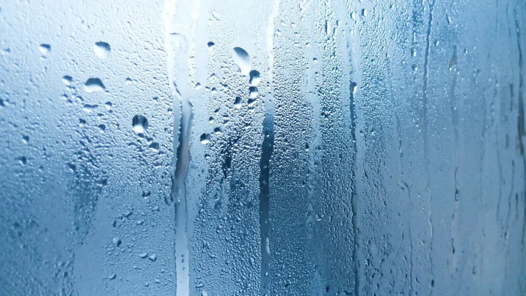 原因1:水分(湿気)