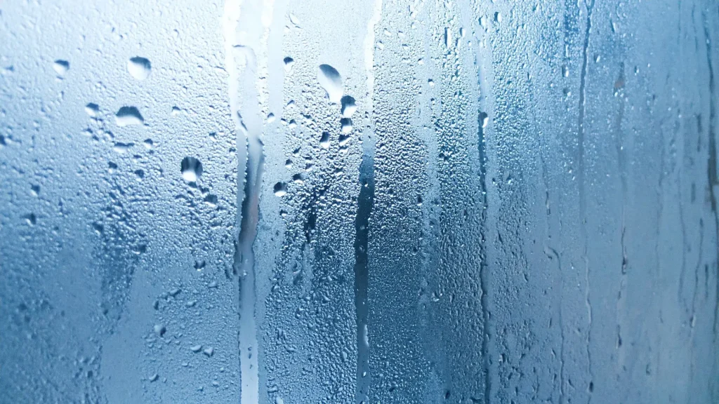 原因1：水分（湿気）